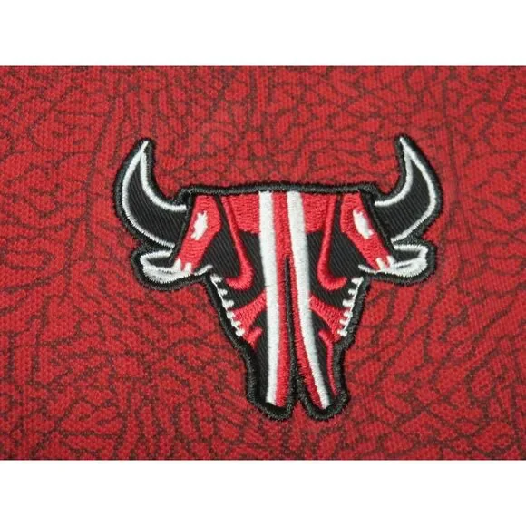 Nike Jordan Red Polo Shirt Sneakers x Chicago Bulls Youth‎ XL 20 Mens S Cotton - Picture 5 of 9